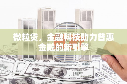 盐埕微粒贷，金融科技助力普惠金融的新引擎