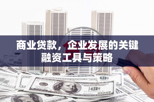 盐埕商业贷款，企业发展的关键融资工具与策略