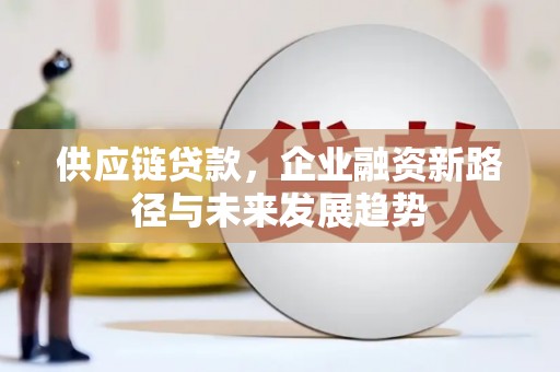 盐埕供应链贷款，企业融资新路径与未来发展趋势