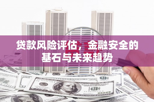 盐埕贷款风险评估，金融安全的基石与未来趋势