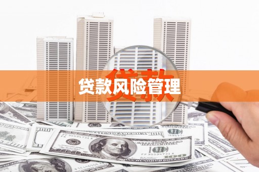 盐埕贷款风险管理