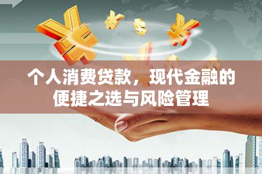 盐埕个人消费贷款，现代金融的便捷之选与风险管理