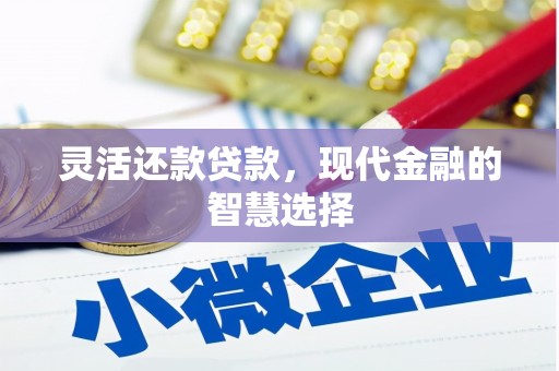盐埕灵活还款贷款，现代金融的智慧选择