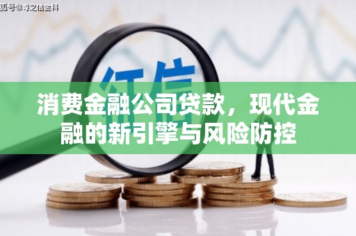 盐埕消费金融公司贷款，现代金融的新引擎与风险防控