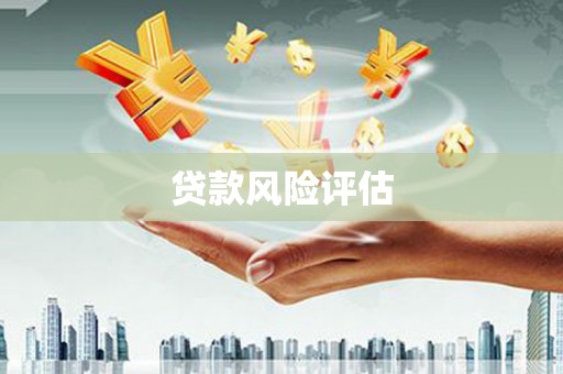 盐埕贷款风险评估