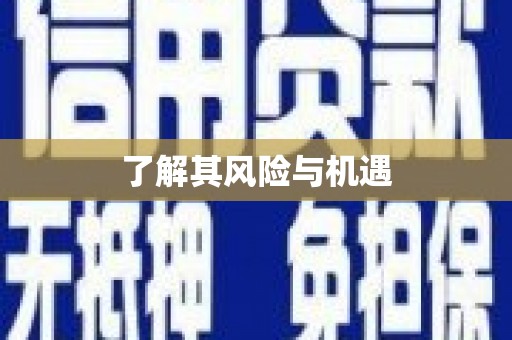 盐埕了解其风险与机遇