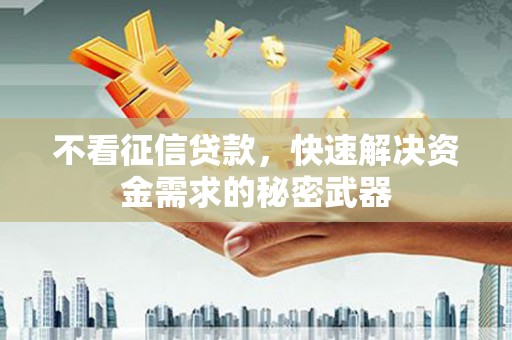 盐埕不看征信贷款，快速解决资金需求的秘密武器