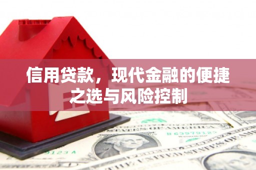 盐埕信用贷款，现代金融的便捷之选与风险控制