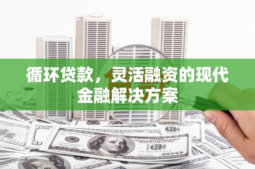盐埕循环贷款，灵活融资的现代金融解决方案