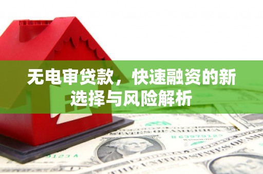 盐埕无电审贷款，快速融资的新选择与风险解析