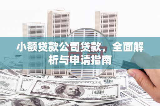 盐埕小额贷款公司贷款，全面解析与申请指南
