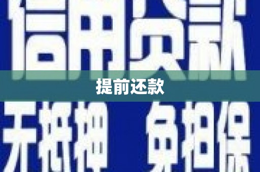 盐埕提前还款