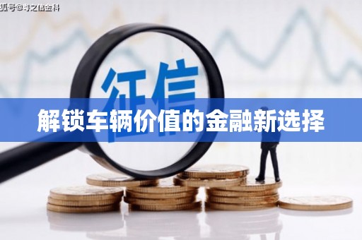 盐埕解锁车辆价值的金融新选择