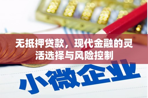 盐埕无抵押贷款，现代金融的灵活选择与风险控制