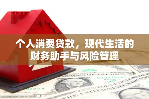 盐埕个人消费贷款，现代生活的财务助手与风险管理