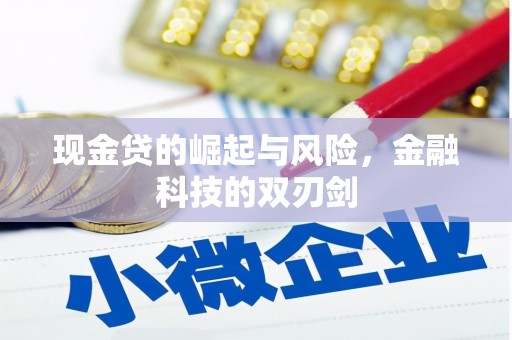 盐埕现金贷的崛起与风险，金融科技的双刃剑