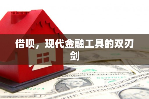 盐埕借呗，现代金融工具的双刃剑