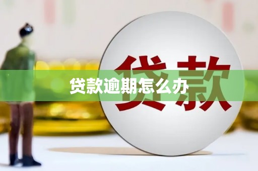 盐埕贷款逾期怎么办