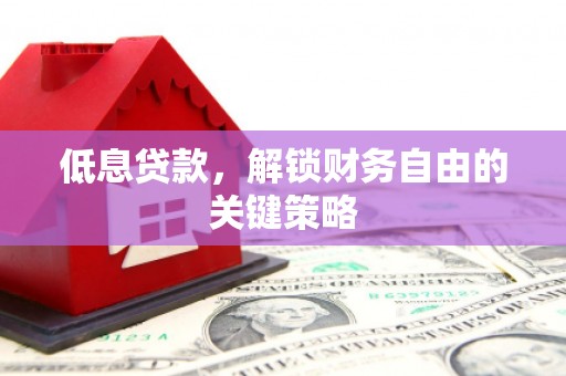 盐埕低息贷款，解锁财务自由的关键策略