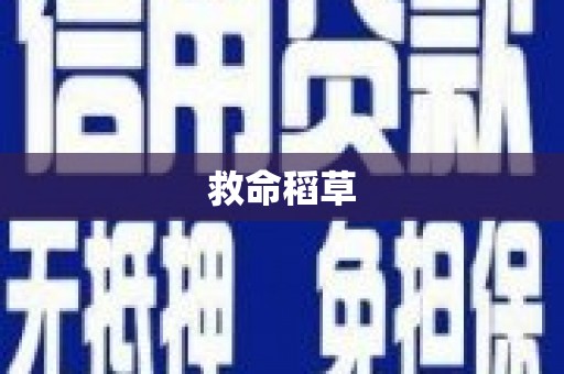 盐埕救命稻草