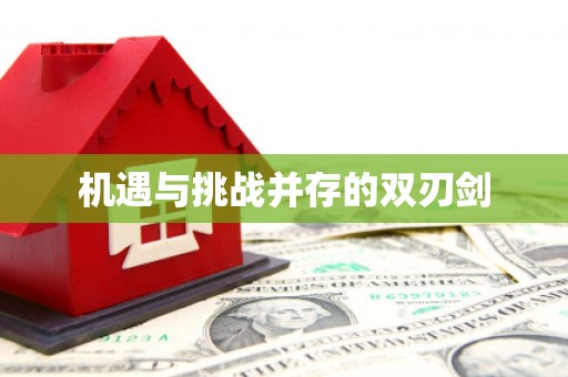 盐埕机遇与挑战并存的双刃剑