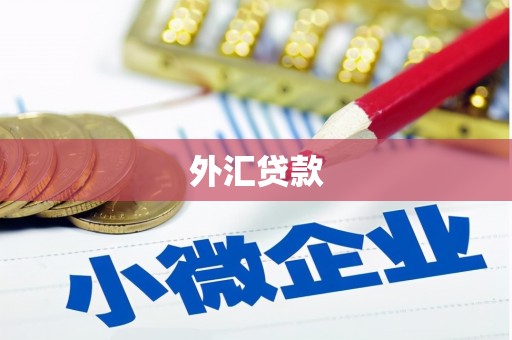 盐埕外汇贷款