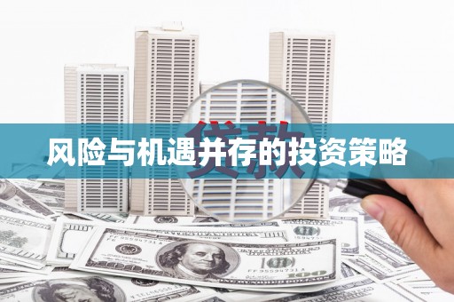 盐埕风险与机遇并存的投资策略