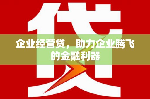 盐埕企业经营贷，助力企业腾飞的金融利器