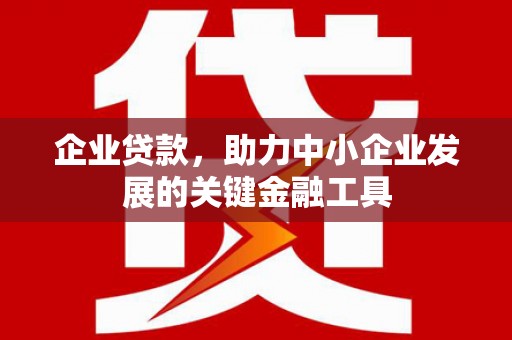 盐埕企业贷款，助力中小企业发展的关键金融工具
