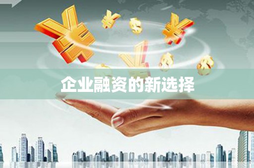 盐埕企业融资的新选择