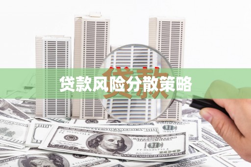 盐埕贷款风险分散策略