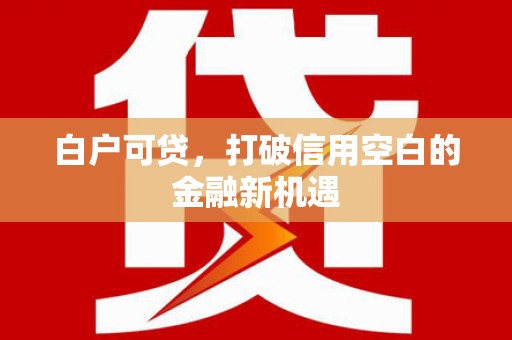 盐埕白户可贷，打破信用空白的金融新机遇