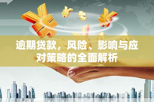 盐埕逾期贷款，风险、影响与应对策略的全面解析