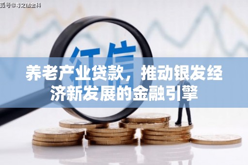 盐埕养老产业贷款，推动银发经济新发展的金融引擎