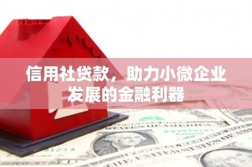 盐埕信用社贷款，助力小微企业发展的金融利器