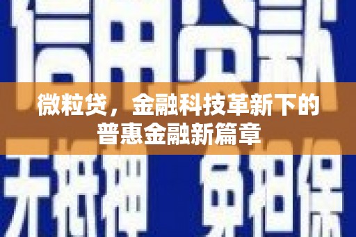 盐埕微粒贷，金融科技革新下的普惠金融新篇章