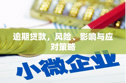 盐埕逾期贷款，风险、影响与应对策略