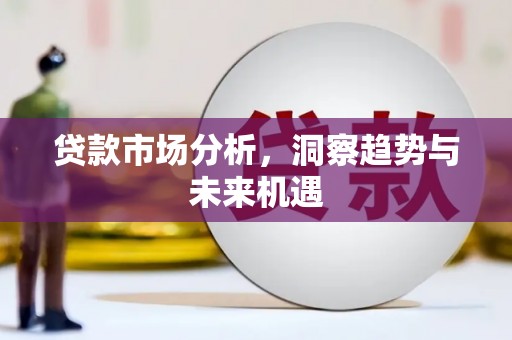 盐埕贷款市场分析，洞察趋势与未来机遇