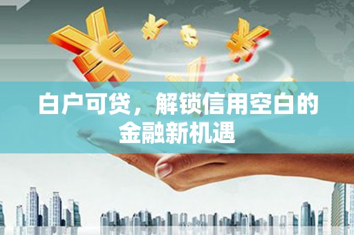 盐埕白户可贷，解锁信用空白的金融新机遇