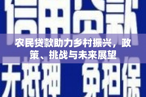 盐埕农民贷款助力乡村振兴，政策、挑战与未来展望