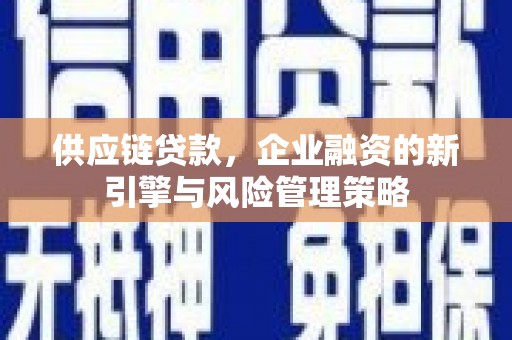盐埕供应链贷款，企业融资的新引擎与风险管理策略