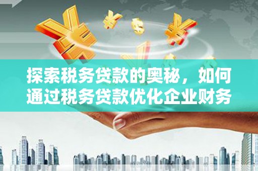 盐埕探索税务贷款的奥秘，如何通过税务贷款优化企业财务