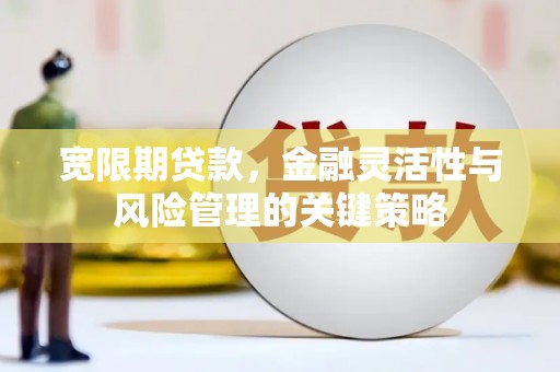 盐埕宽限期贷款，金融灵活性与风险管理的关键策略