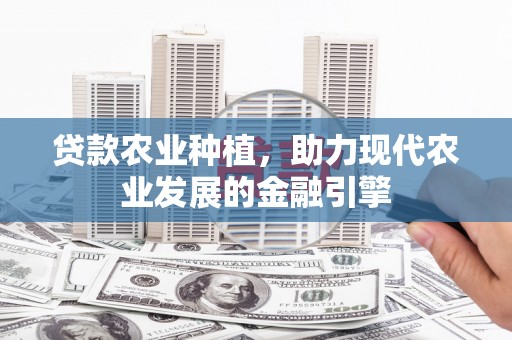 盐埕贷款农业种植，助力现代农业发展的金融引擎