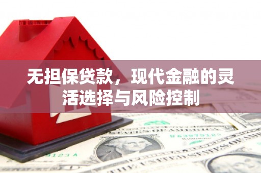 盐埕无担保贷款，现代金融的灵活选择与风险控制