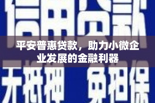 盐埕平安普惠贷款，助力小微企业发展的金融利器