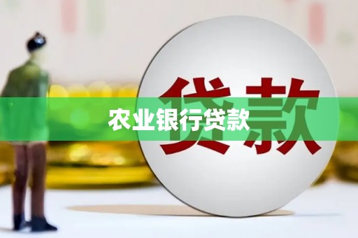盐埕农业银行贷款