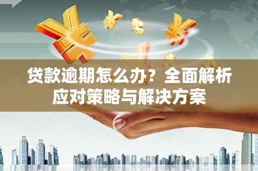 盐埕贷款逾期怎么办？全面解析应对策略与解决方案