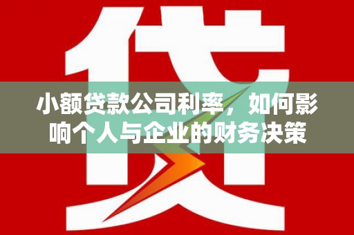 盐埕小额贷款公司利率，如何影响个人与企业的财务决策