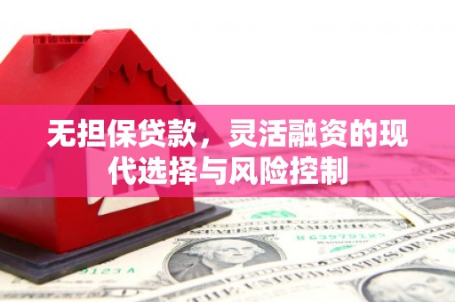 盐埕无担保贷款，灵活融资的现代选择与风险控制